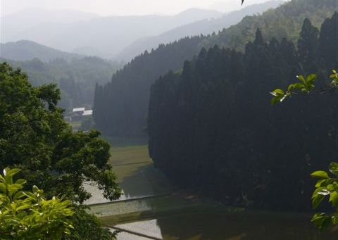 生産地の景色